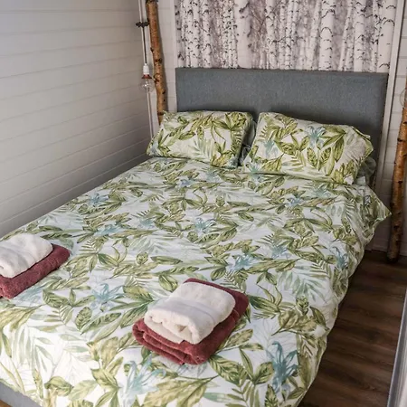 Reflections, Netherby, A Micro With Hot Tub In A Rural Setting *